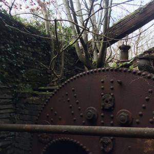 Trees to be removed from an old boiler house in former slate quarry